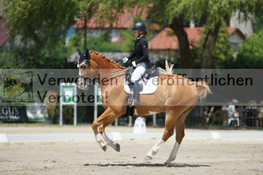 DSC05029 | equestrian-live-com