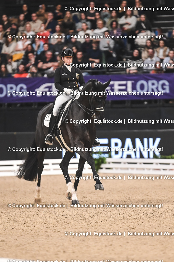 20241116_Dressur-Kür_TOMsPiC_0233 | Foto: Thomas Hartig