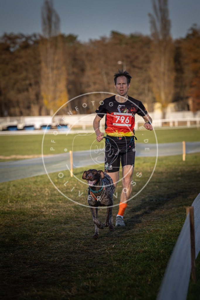 CaniXpix_DV3A2862 | Hundefotografie, Tierfotograf, Pfotenfotografie, Fotoshooting Hund, Hunde Portrait, Hundesport, Hundeportraits, Heideshooting, Hunde, Sportfotograf, Hundefotograf, Turnierhundsport, THS,  - Realisiert mit Pictrs.com