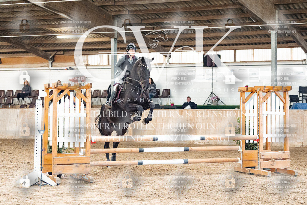 CK904685 | Turnierfotografie Pferdefotografie Trier Rheinland-Pfalz Pferdesport Reitsport Tierfotografie Sportfotografie Pferdevideo Pferdevideografie Equestrianvideography equestrianphotography  - Realisiert mit Pictrs.com