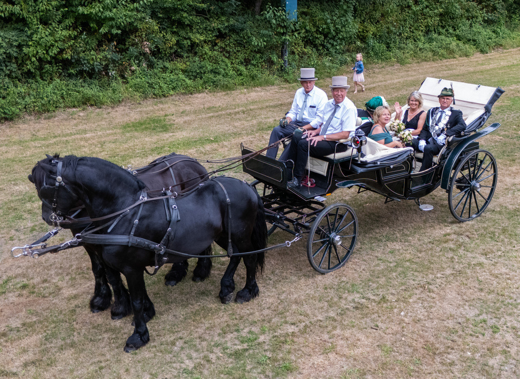 top-top.de-250705-096 | default