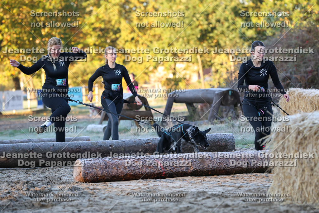 Dog Paparazzi - Strongdog 10-25-385 | Dog Paparazzi Jeanette Grottendiek Fotografie & Videografie - Realisiert mit Pictrs.com
