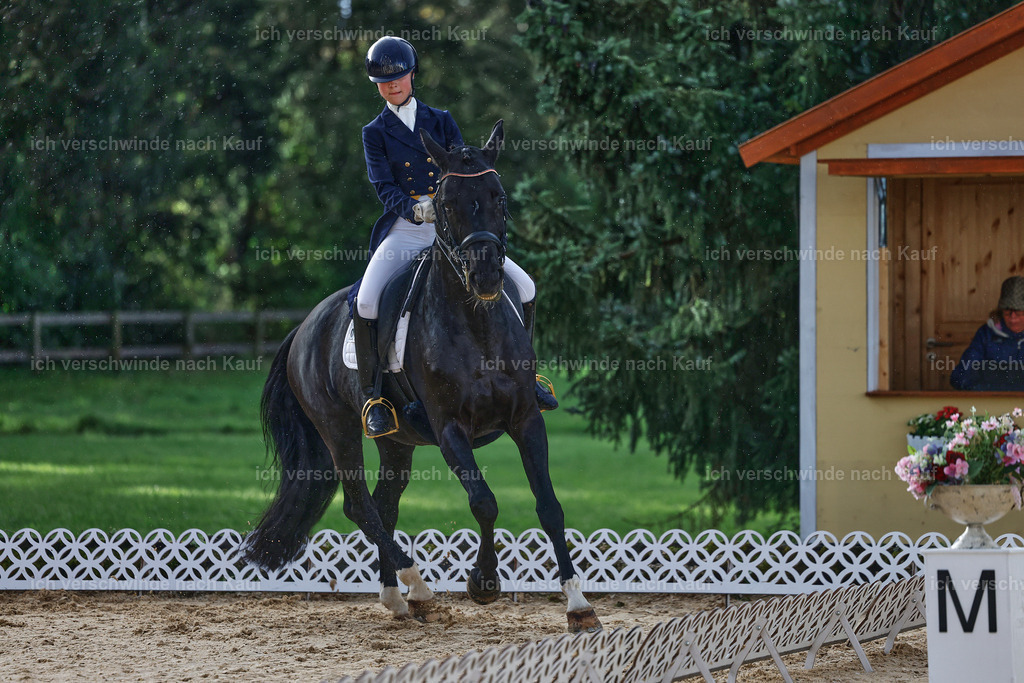 10-033-ST.GEORG SPECIAL -StoibPH-3128 | working equitationturnier fotograf videograf stoibphotography marixx film working equitation deutschland reitsport turnierfotografie eventfotografie equestrian events
