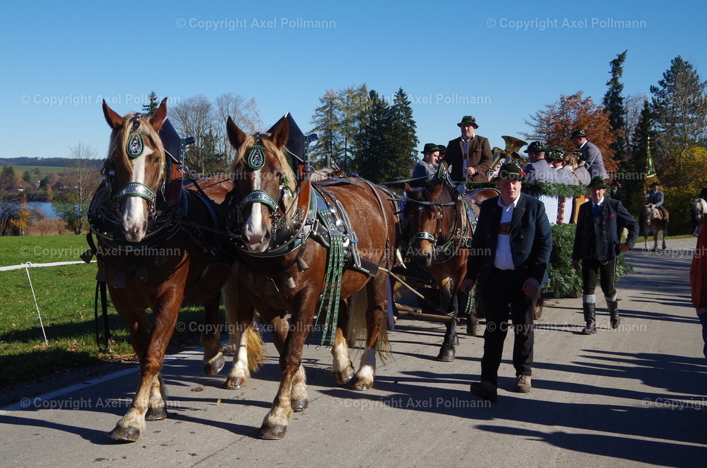 IMGP8151 | fotografiert von Axel PollmannLeonhardi Wallfahrt Benediktbeuern und Murnau, Fronleichnam, Fasching, Landschaft im Loisachtal und Benediktbeuern  - Realisiert mit Pictrs.com