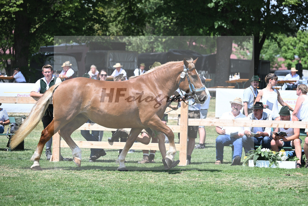 Kat-Nr. 53 Pamira_Gruber_20230841 | hf-fotografie - Realisiert mit Pictrs.com