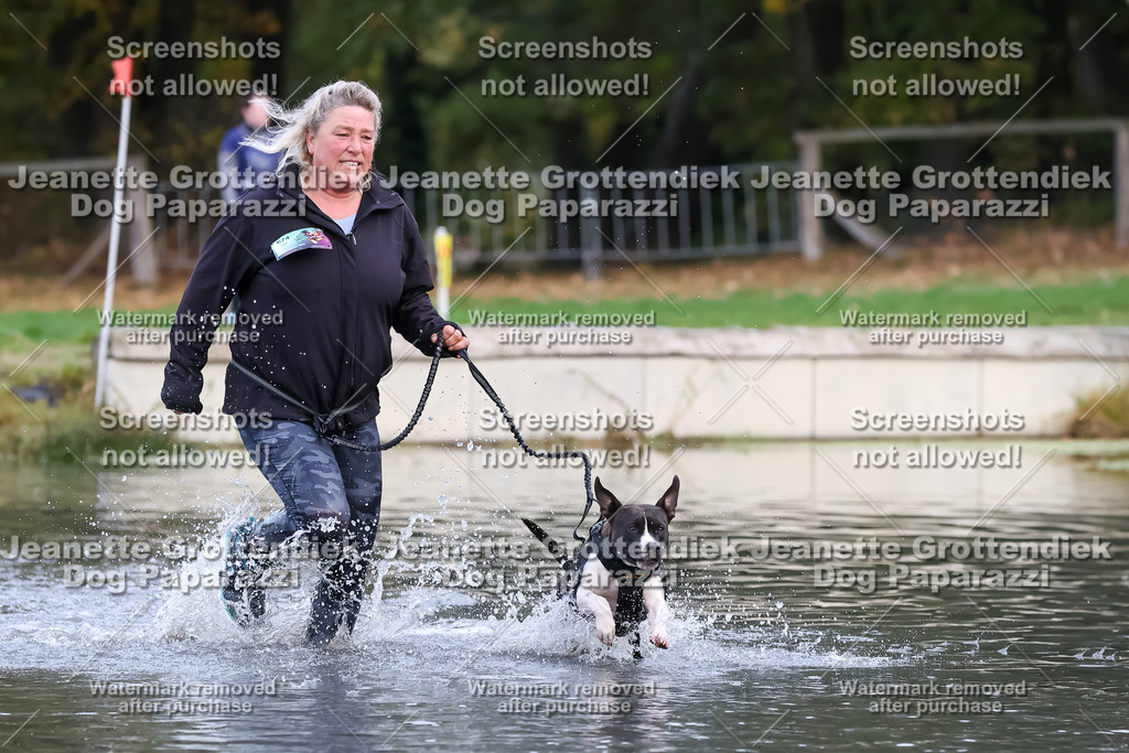 Dog Paparazzi - Strongdog 10-25-6592 | Dog Paparazzi Jeanette Grottendiek Fotografie & Videografie - Realisiert mit Pictrs.com