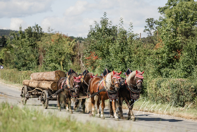 7V6A2389 | natalia-nirschl-photography