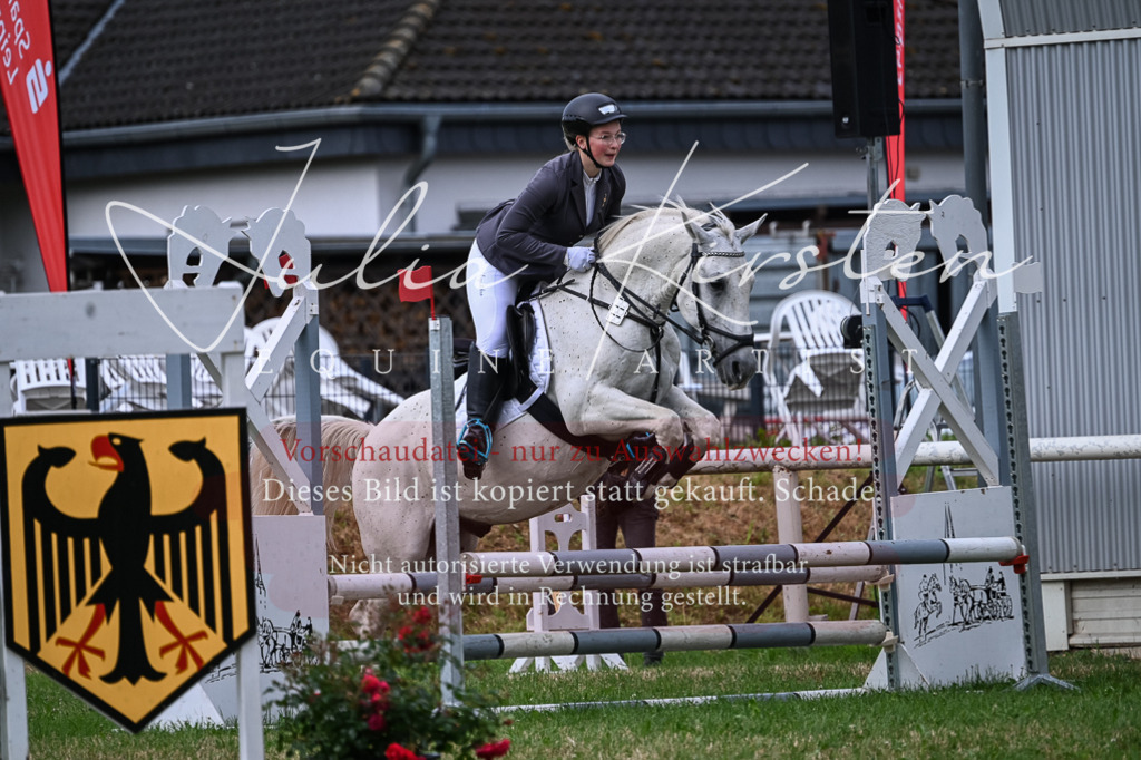DSC_8623 | Pferde- und Turnierfotografie in Westsachsen. Pferdeportraits, Auftragszeichnungen und intuitive Kunst.