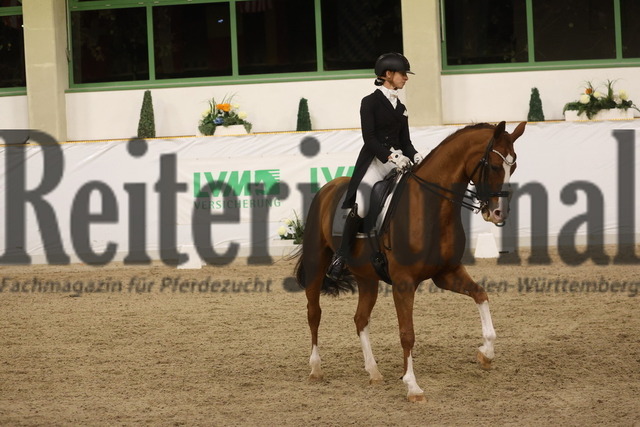 Gut Ising_2023_Prfg.Nr.03_Intermediaire II_Tatjana Burger_Quadrigo_s Donna Dream (19) | Alle Fotos der Reiterjournal Fotografin Doris Matthaes im Reiterjournal Online-Fotoshop. - Realisiert mit Pictrs.com