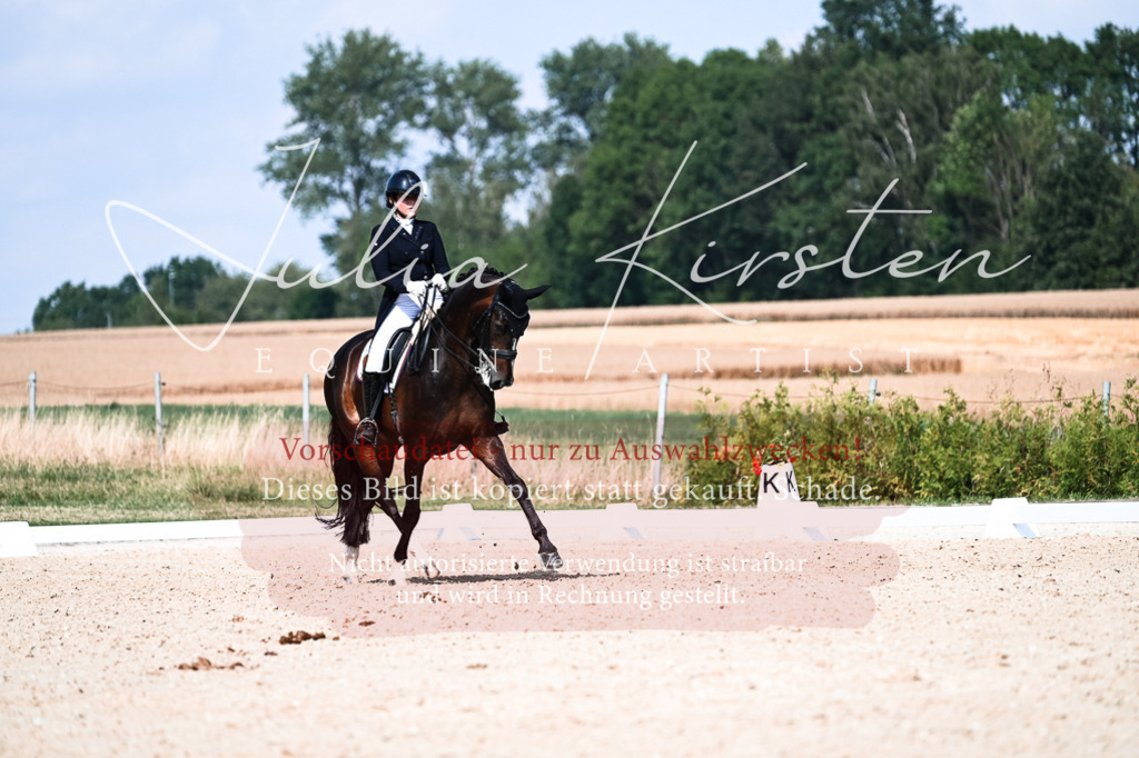 DSC_3352 | Pferde- und Turnierfotografie in Westsachsen. Pferdeportraits, Auftragszeichnungen und intuitive Kunst.