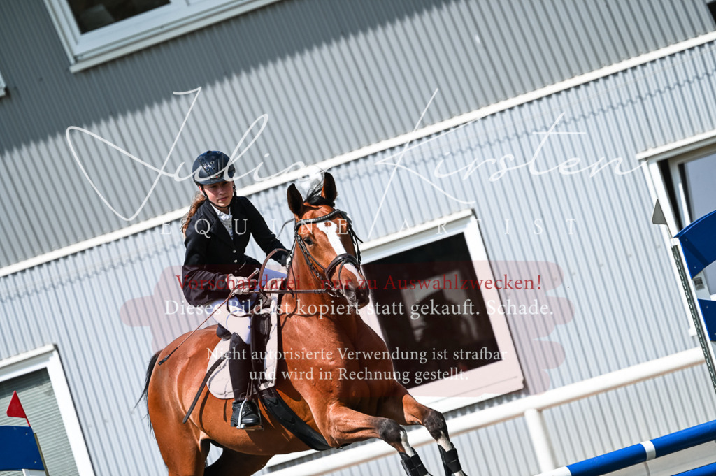 DSC_8680 | Pferde- und Turnierfotografie in Westsachsen. Pferdeportraits, Auftragszeichnungen und intuitive Kunst.