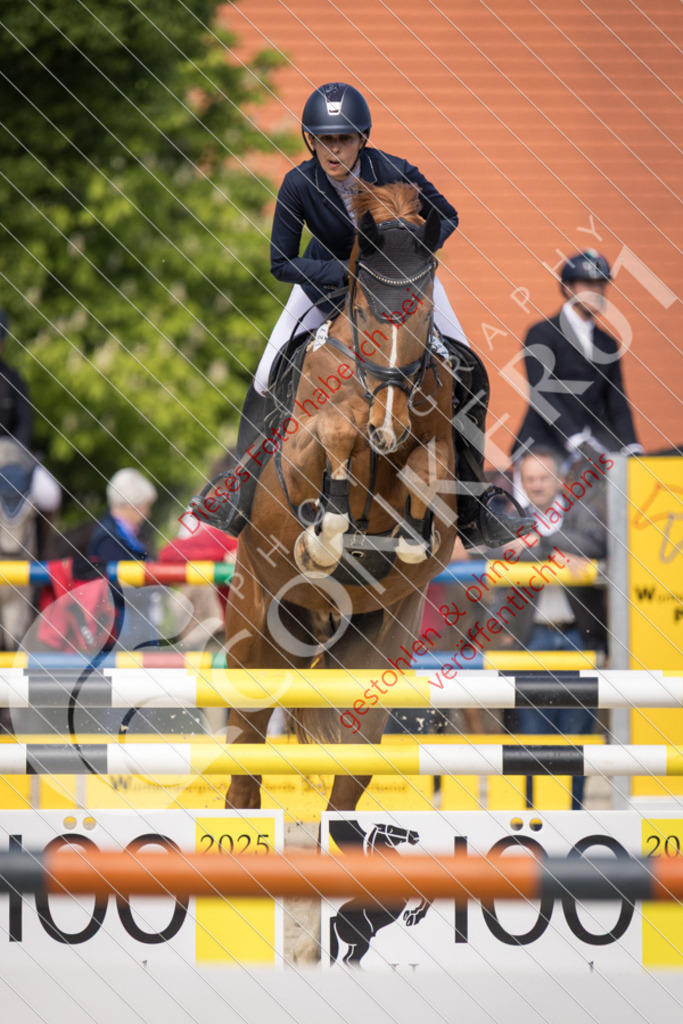 IMG_4750 | Sport-, Event- und Tierfotos in Profiqualität. Einfach auswählen, bestellen und herunterladen. Dein Moment – perfekt festgehalten.