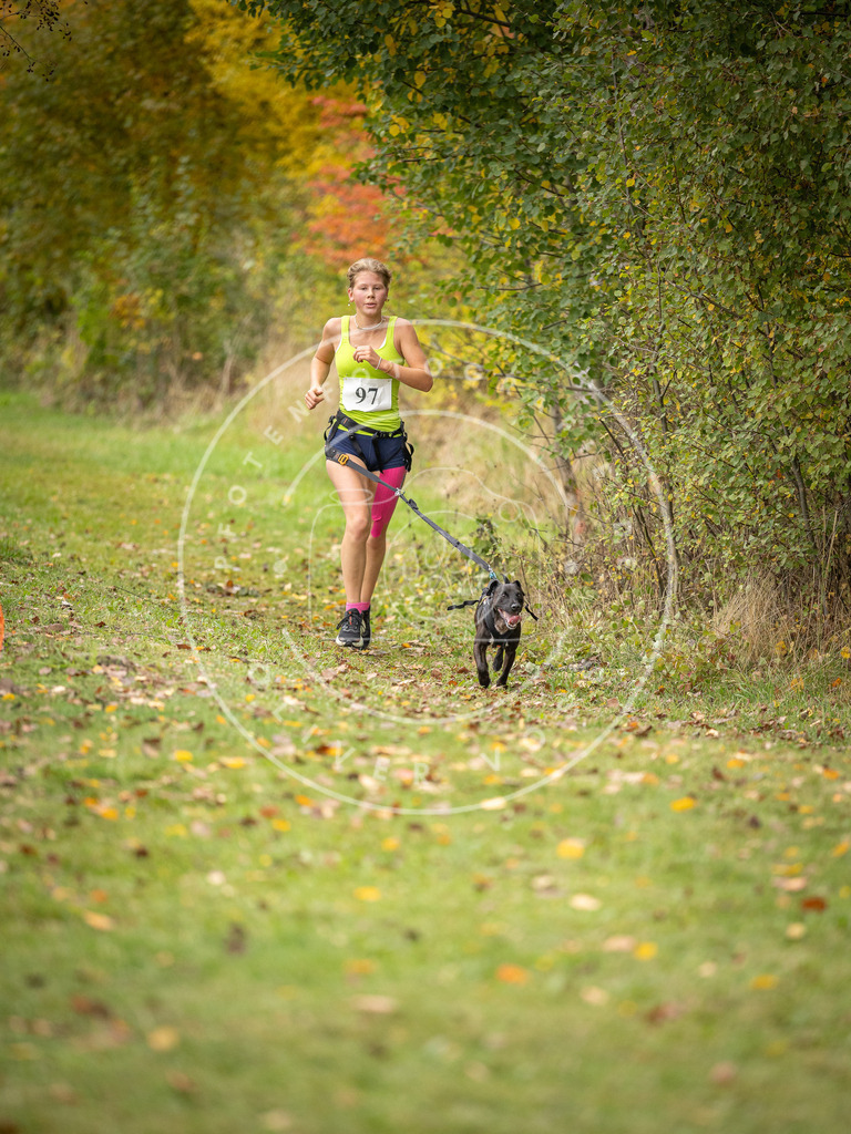 Pfotenfotografie_DV3A3380 | Hundefotografie, Tierfotograf, Pfotenfotografie, Fotoshooting Hund, Hunde Portrait, Hundesport, Hundeportraits, Heideshooting, Hunde, Sportfotograf, Hundefotograf, Turnierhundsport, THS,  - Realisiert mit Pictrs.com