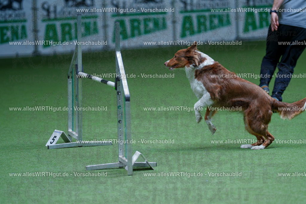 @allesWIRTHgut_Tierfotografie - www.allesWIRTHgut.de - 2604251227-7R501804 | Professionelle Tierfotografie in Mönchengladbach von Daniel Wirth (allesWIRTHgut). Liebevolle & natürliche Bilder von Hunden & Katzen für unvergessliche Erinnerungen.