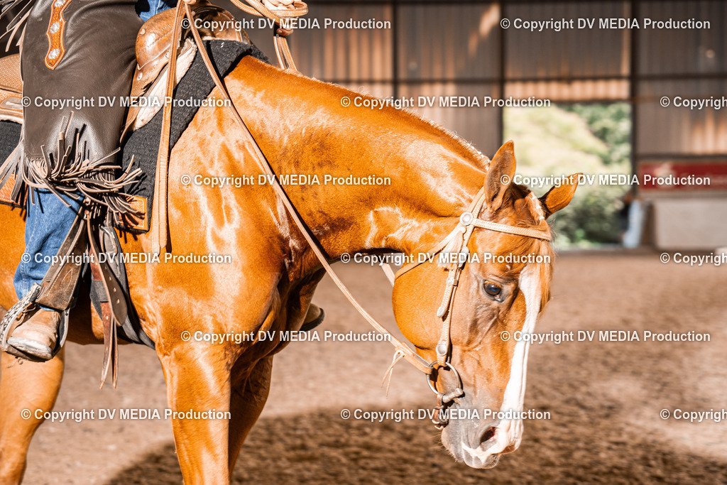 ZH100530 | dv-media-shop - Realisiert mit Pictrs.com