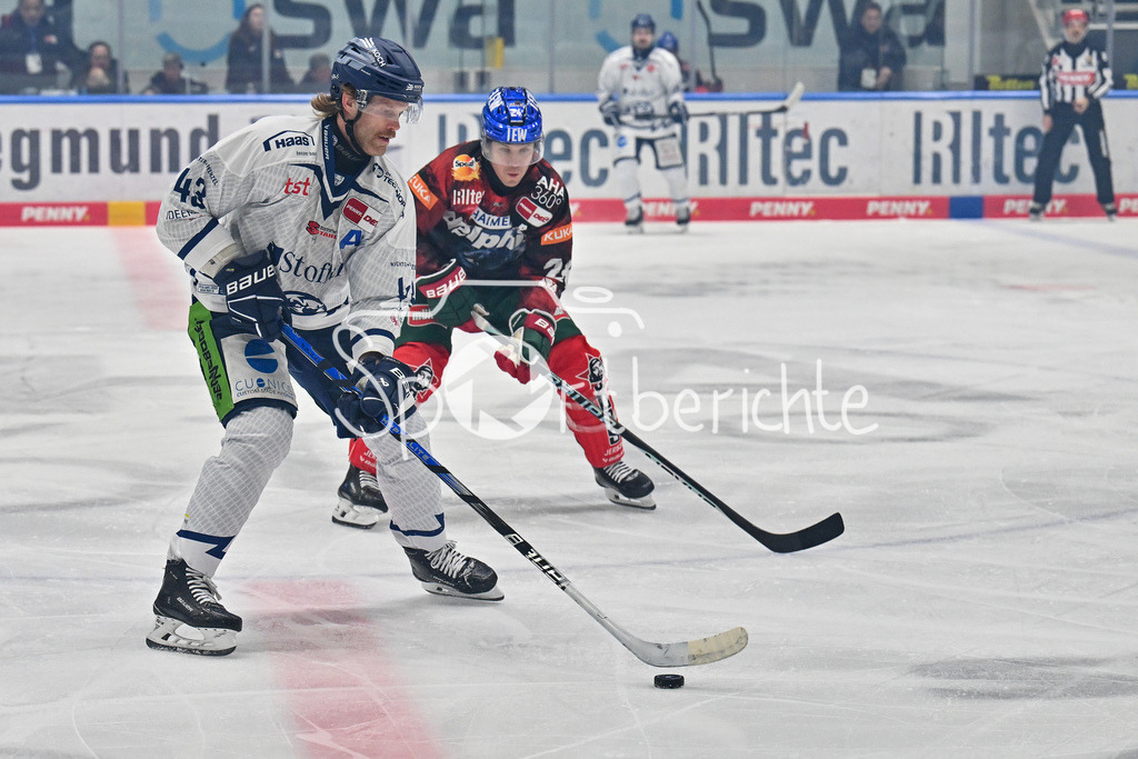 Augsburger Panther - Straubing Tigers | im Duell Cole FONSTAD (Starubing Tigers #42) und T. J. TREVELYAN (Augsburger Panther #24) / Zweikampf / DEL: Augsburger Panther - Straubing Tigers, Curt Frenzel Stadion am 29.11.2024