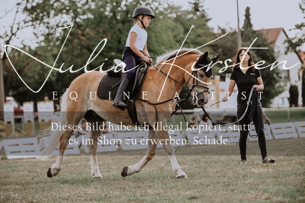 DSC_7680 | Pferde- und Turnierfotografie in Westsachsen. Pferdeportraits, Auftragszeichnungen und intuitive Kunst.