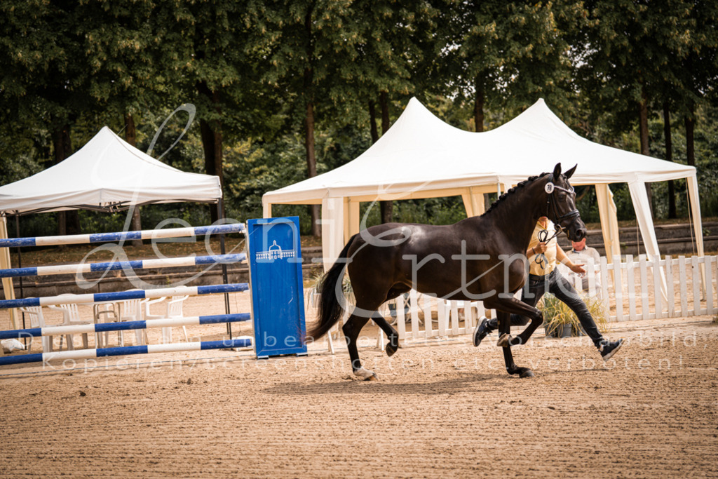 4.Fr00089 | Leoni Ertmer Photography - Realisiert mit Pictrs.com