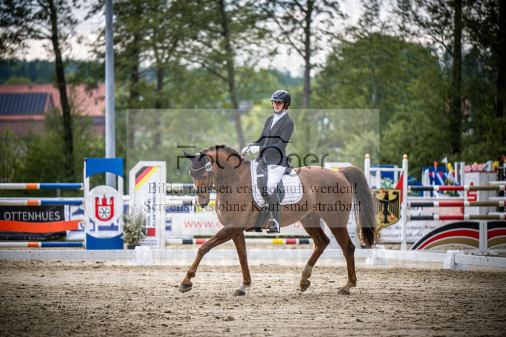 DOS_2727 | Reitturnier Venne - Realisiert mit Pictrs.com