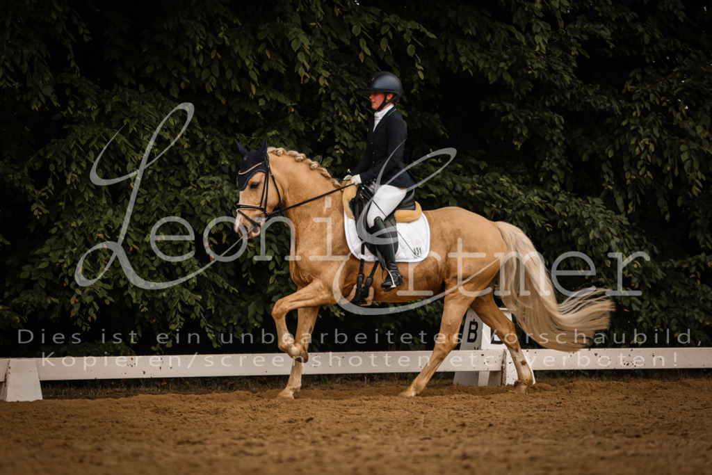 DoDrA200364 | Leoni Ertmer Photography - Realisiert mit Pictrs.com