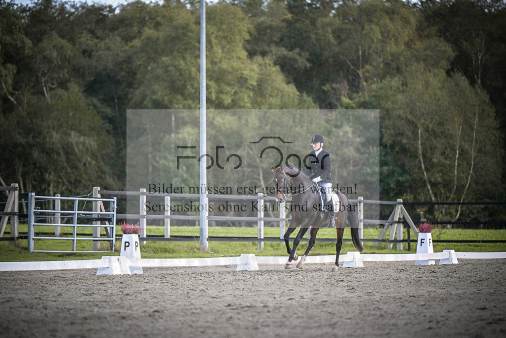 DOS_4019 | Entdecke hochwertige Reitturnierfotos von Foto Oger. Professionell, emotional und authentisch – jetzt Lieblingsmomente im Shop bestellen.Deutschlandweite Turnierfotografie. - Realisiert mit Pictrs.com