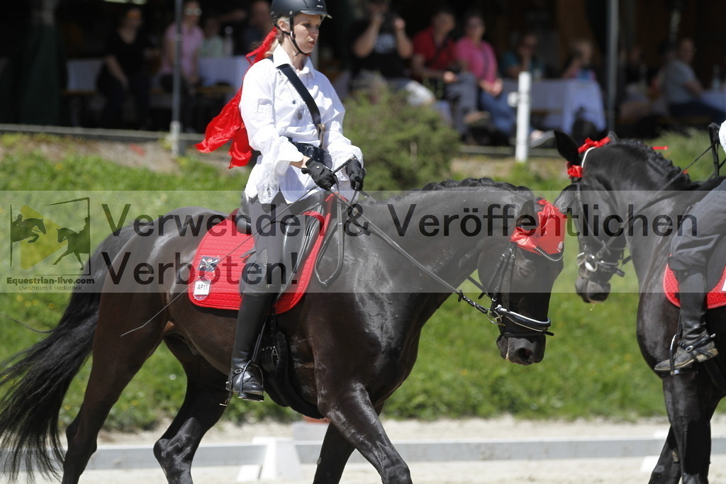 _MG_7463 | equestrian-live-com