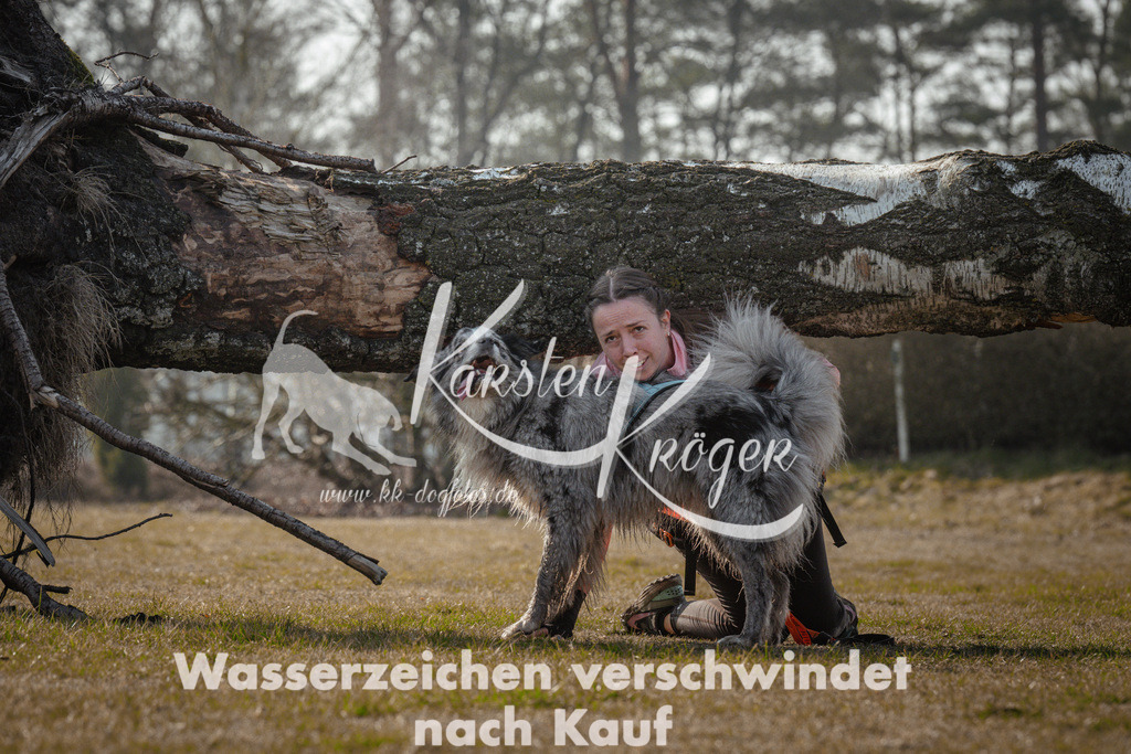 1024_ZZ92618 | kk-dogfotos