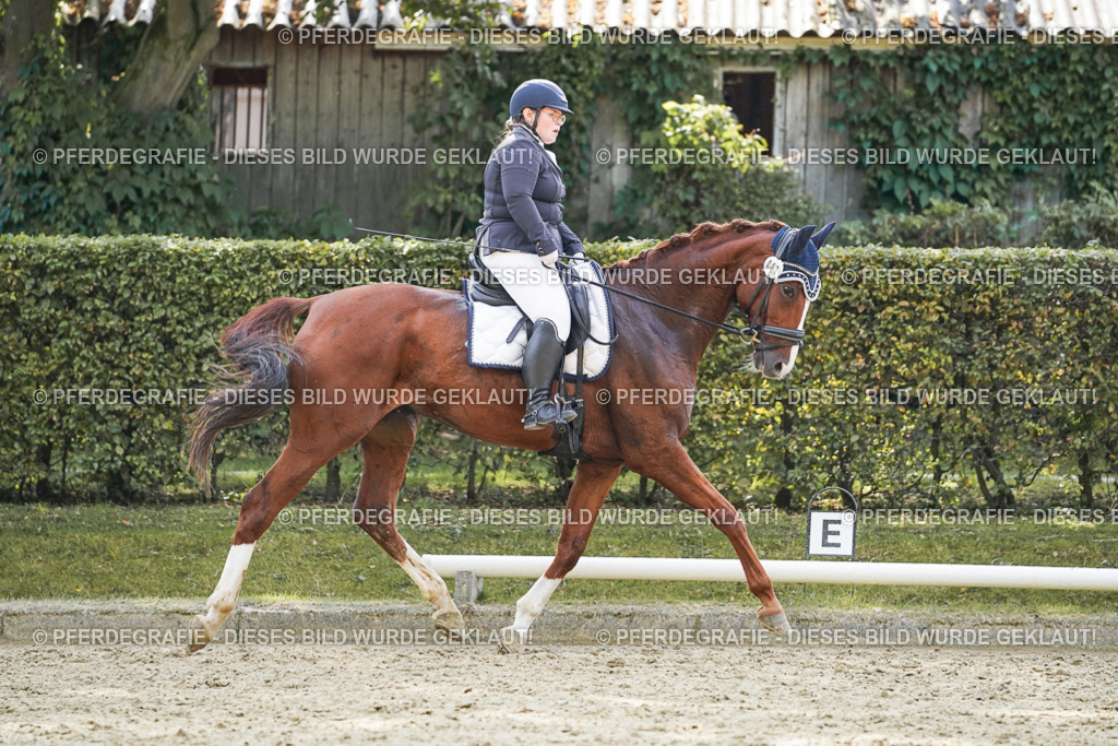 DSC08041 | Pferdegrafie