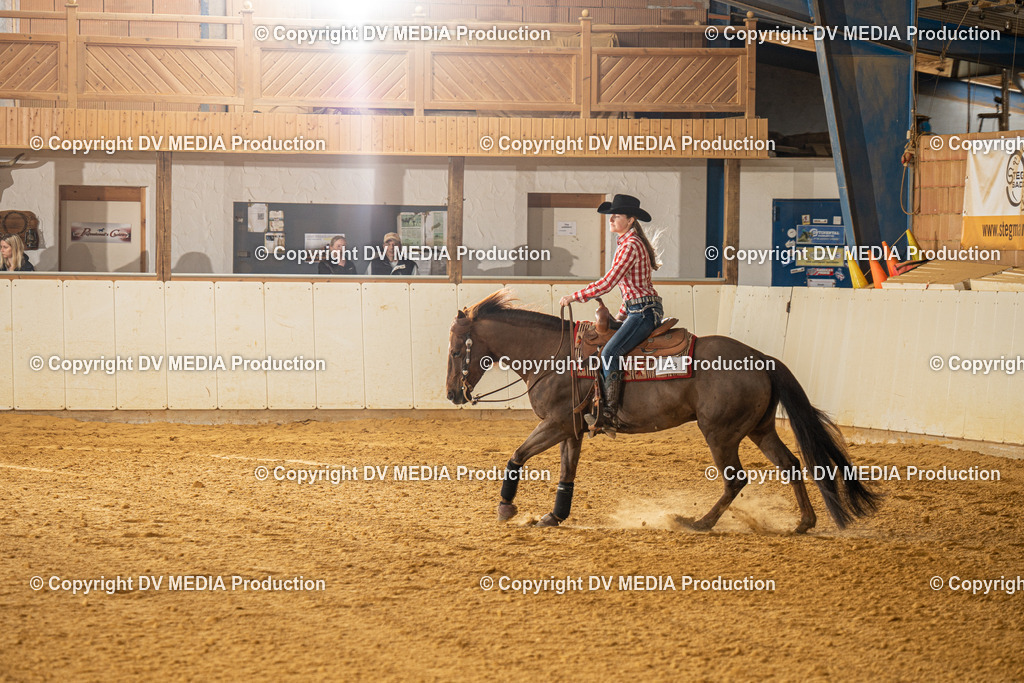 MIT00656 | dv-media-shop - Realisiert mit Pictrs.com