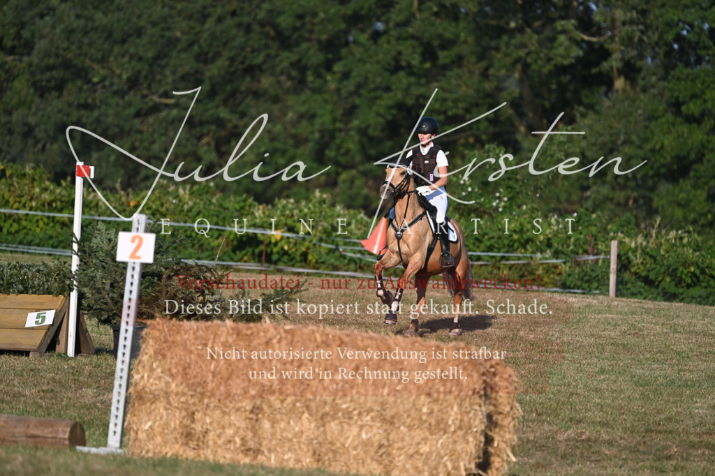 DSC_9243 | Pferde- und Turnierfotografie in Westsachsen. Pferdeportraits, Auftragszeichnungen und intuitive Kunst.