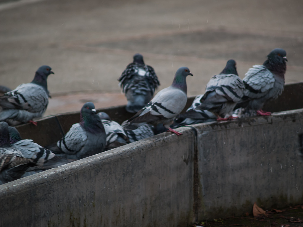 PSX_20230111_224430 | OLYMPUS DIGITAL CAMERA - Realisiert mit Pictrs.com