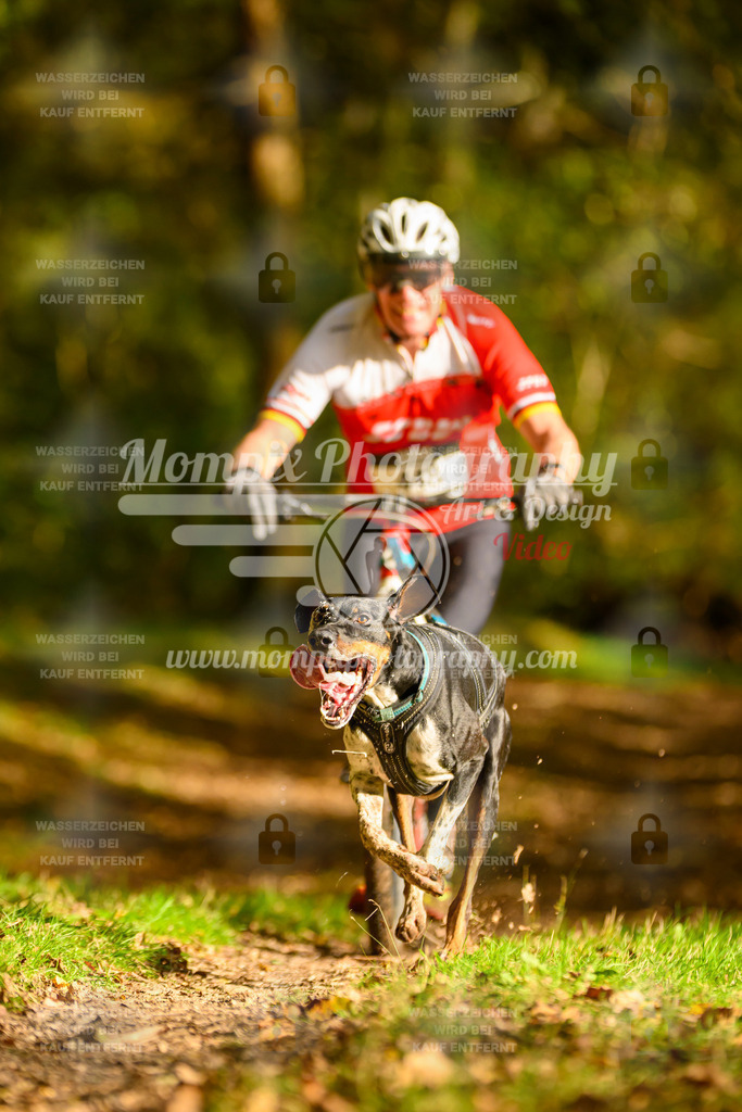 MompixPhotography_20TSB_E1_DS1-27 | PayLife