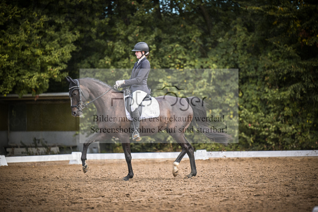 DOS_1929 | Entdecke hochwertige Reitturnierfotos von Foto Oger. Professionell, emotional und authentisch – jetzt Lieblingsmomente im Shop bestellen.Deutschlandweite Turnierfotografie. - Realisiert mit Pictrs.com