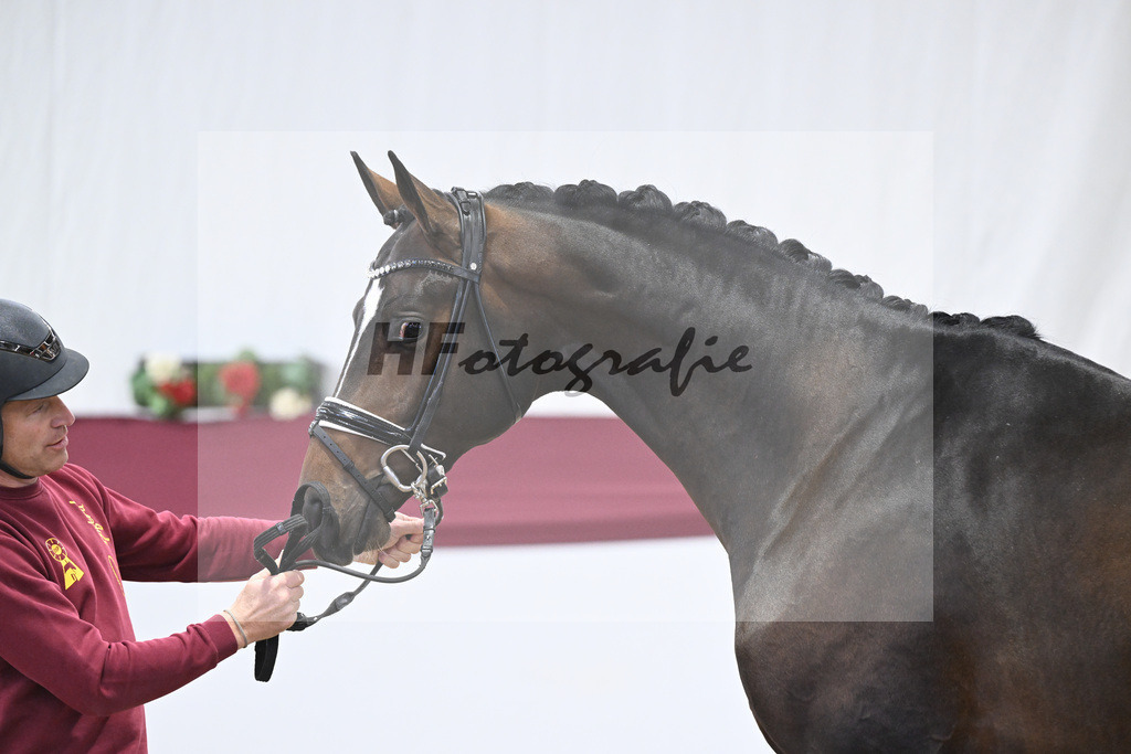 Kat-Nr. 13 Escaneno x De Niro-Christoph Wahler_47250196 | hf-fotografie - Realizzato con Pictrs.com