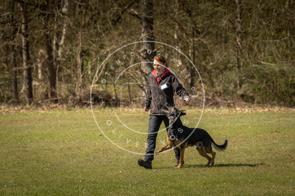 Pfotenfotografie_DV3A0925 | Hundefotografie, Tierfotograf, Pfotenfotografie, Fotoshooting Hund, Hunde Portrait, Hundesport, Hundeportraits, Heideshooting, Hunde, Sportfotograf, Hundefotograf, Turnierhundsport, THS,  - Realisiert mit Pictrs.com