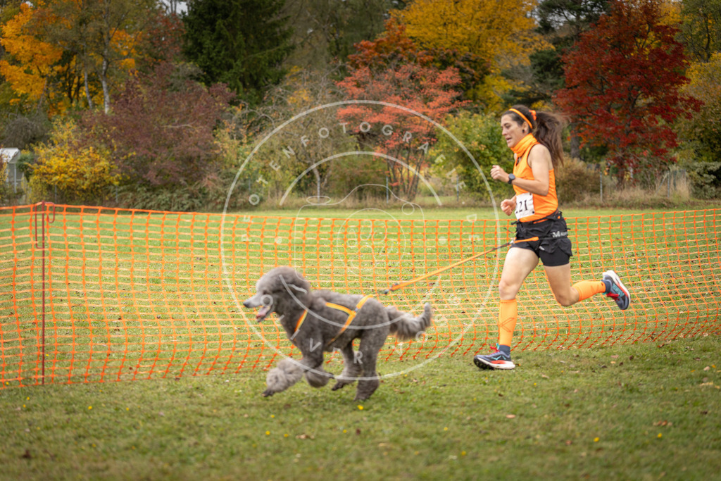 Pfotenfotografie_DV3A4823 | Hundefotografie, Tierfotograf, Pfotenfotografie, Fotoshooting Hund, Hunde Portrait, Hundesport, Hundeportraits, Heideshooting, Hunde, Sportfotograf, Hundefotograf, Turnierhundsport, THS,  - Realisiert mit Pictrs.com
