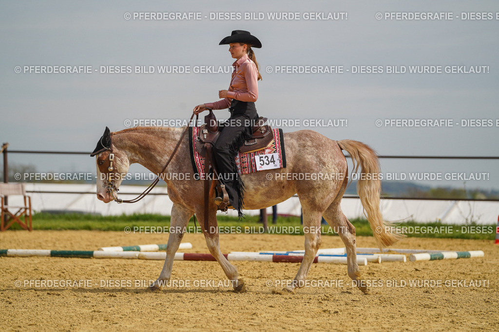 DSC04170 | Pferdegrafie