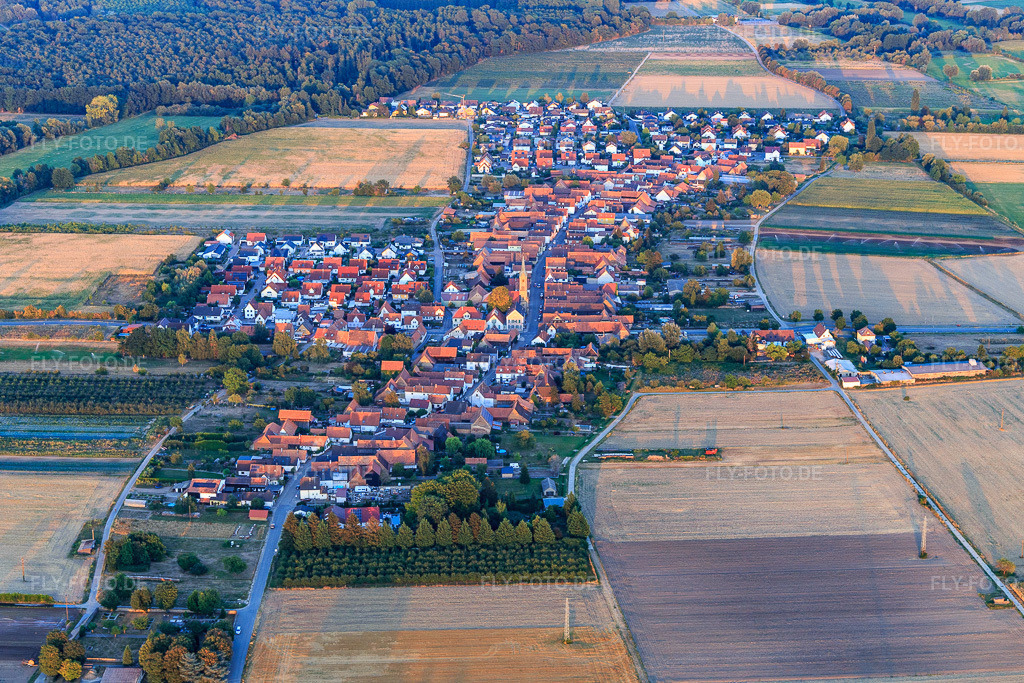 Luftbild: Ortsansicht von Westen in Erlenbach bei Kandel im Bundesland Rheinland-Pfalz in Deutschland. Foto: IMG_133865.jpg vom 16.08.2022 durch Werner Riehm/FLY-FOTO.de