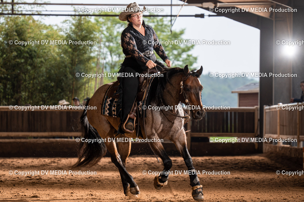 Erbach Tag 2-927 | dv-media-shop - Realisiert mit Pictrs.com