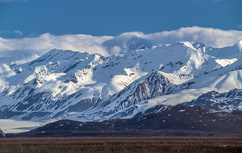 Alaska | Denali Highway - Realisiert mit Pictrs.com