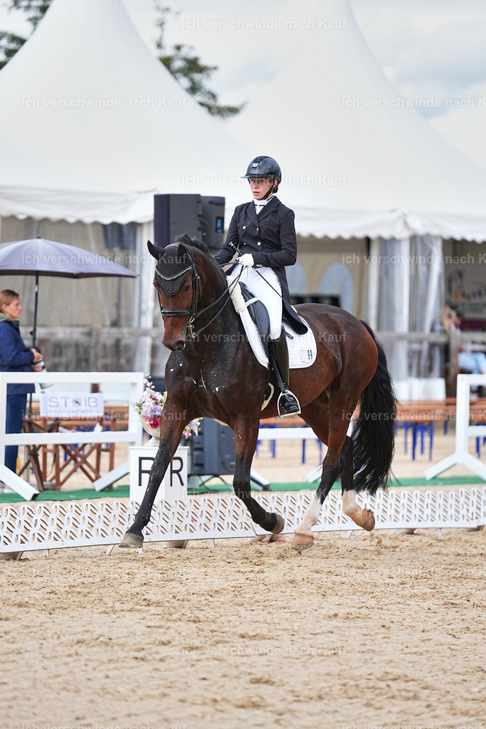8_1-099-Klasse S_  -Marixx-4162 | working equitationturnier fotograf videograf stoibphotography marixx film working equitation deutschland reitsport turnierfotografie eventfotografie equestrian events