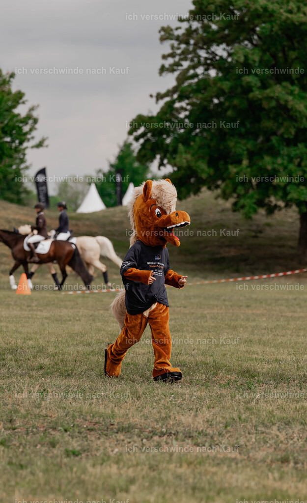 Showprogramm-18 | working equitationturnier fotograf videograf stoibphotography marixx film working equitation deutschland reitsport turnierfotografie eventfotografie equestrian events