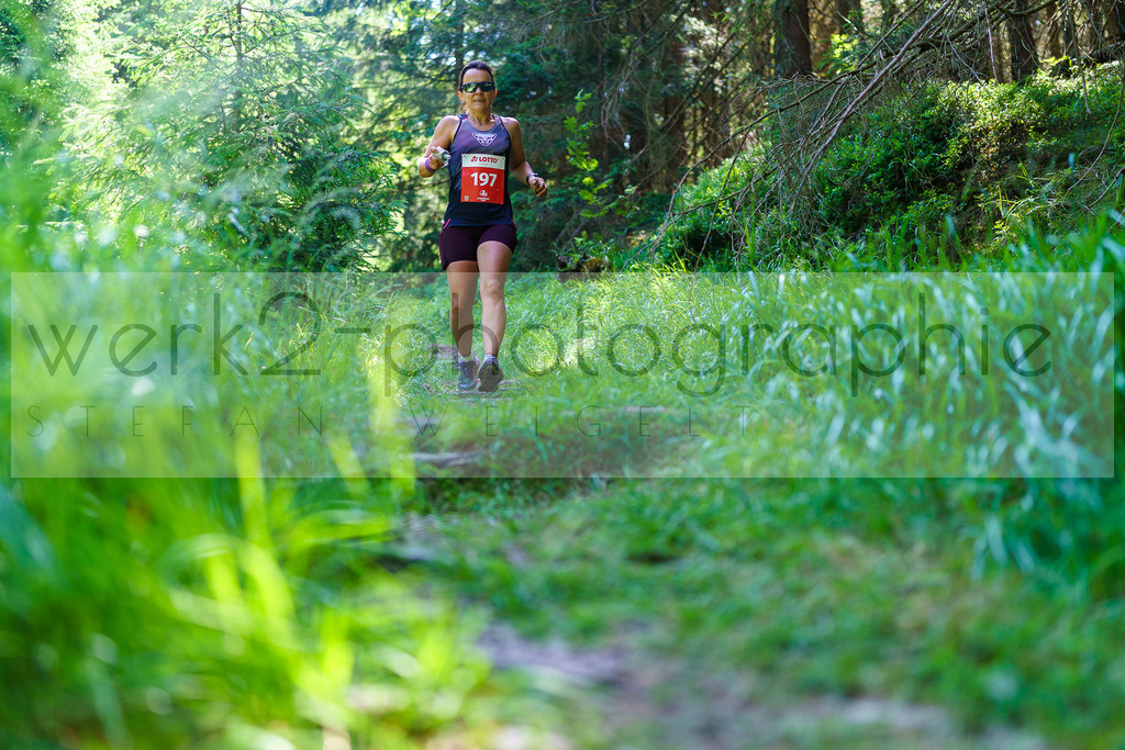 Schneekopflauf 2025 | Schmiedefeld am 5. Juli 2025