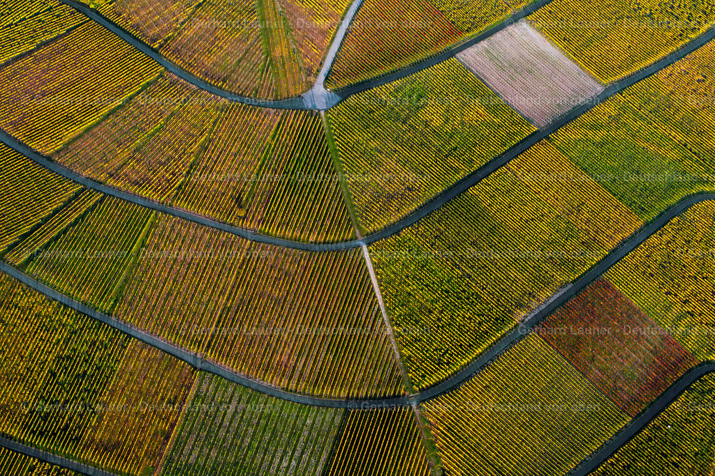 3905505 | Weinberge am Busigberg Großheubach