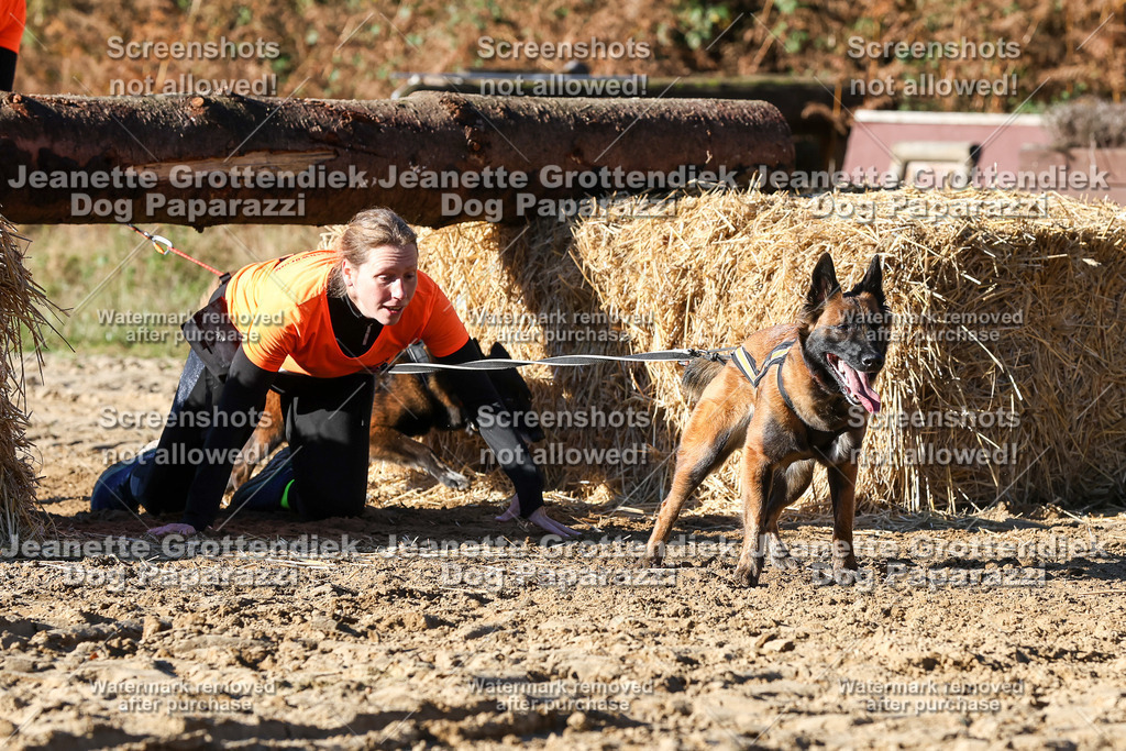 Dog Paparazzi - Strongdog 10-25-2023 | Dog Paparazzi Jeanette Grottendiek Fotografie & Videografie - Realisiert mit Pictrs.com