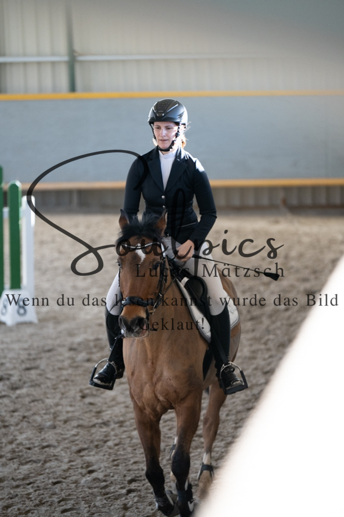 A7V02045 | Pferdefotograf