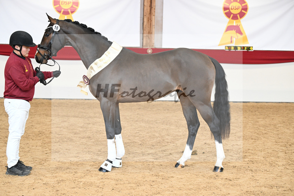 Kat.-Nr. 16 v. Cornet_s Balou_Laue_2251702 | hf-fotografie - Realizzato con Pictrs.com