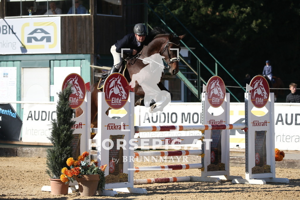DL2Q1721 | Willkommen bei Brunnmayr - Design & Fotografie – Ihrem Spezialisten für Reitturniere und Pferdeveranstaltungen in Oberösterreich, Salzburg und Bayern! Seit über 17 Jahren sind wir leidenschaftlich dabei.