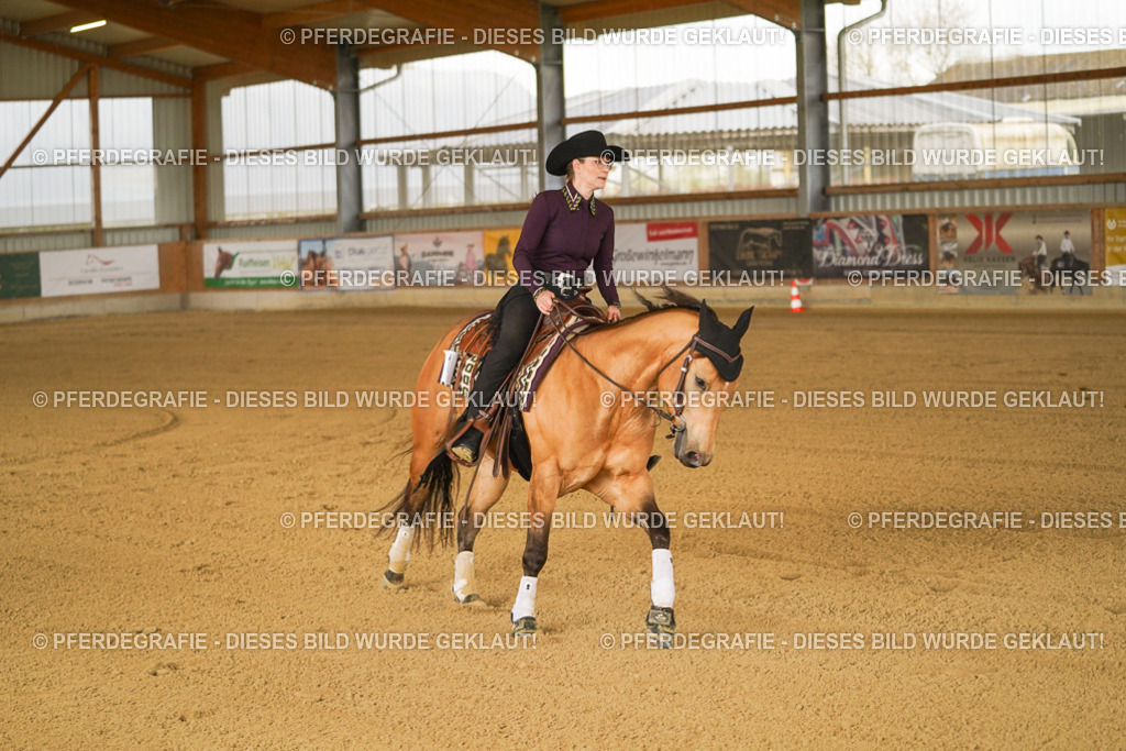 DSC00491 | Pferdegrafie