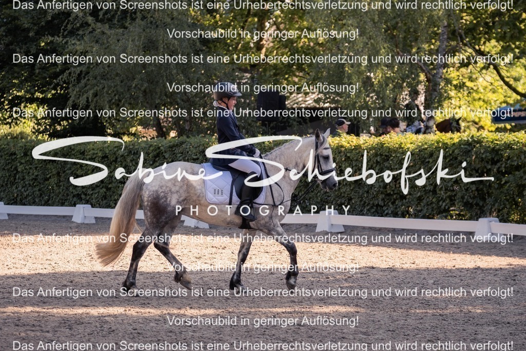 2025_05_31_DSCF2813 | People- und Tierfotografie, Imageaufnahmen, Veranstaltungsfotografie und Wandbilder aus der Natur ★ Made in Germany ✔️ Druck + Downloads ✔️ Naturfotografie in Top Qualität ★ schneller Versand, weltweite Lieferung! - Realisiert mit Pictrs.com